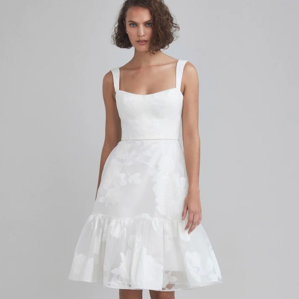 Amsale Rose Fil-Coupe A-line Dress NWT Size 24